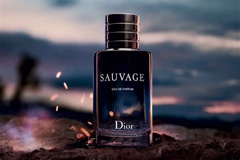 dior sauvage brasil|dior sauvage best price.